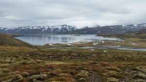 Sópandaskarð - Melrakkar